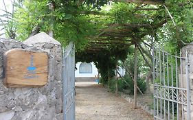 Calanave 10